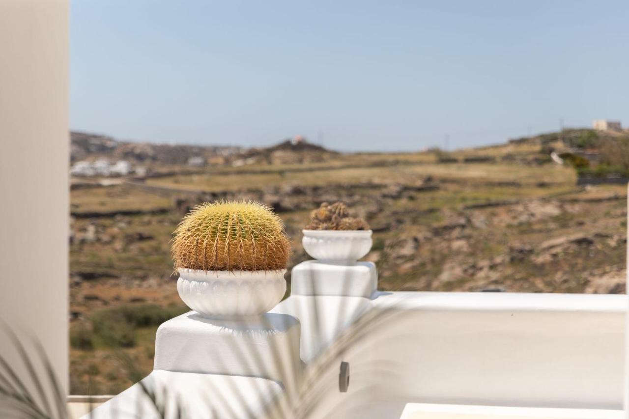 Sea & Stone Residence Mykonos Platys Gialos  Buitenkant foto